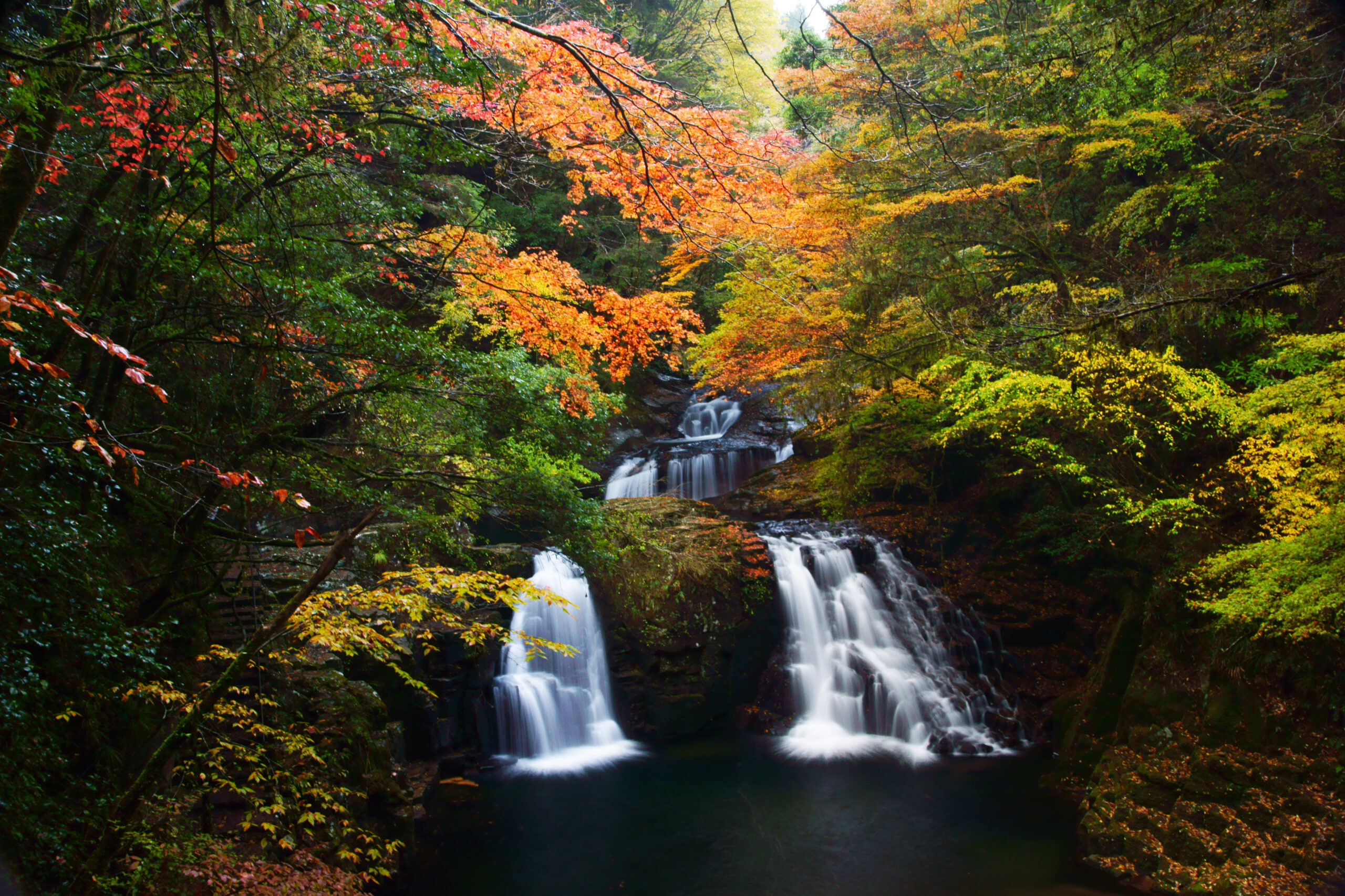 赤目四十八滝ガイドと歩く紅葉ハイキングの外観